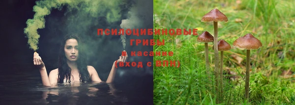 ALPHA-PVP Заводоуковск