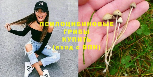 бошки Заволжье