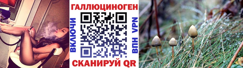 Галлюциногенные грибы Psilocybine cubensis  где купить наркоту  Сочи 